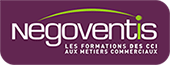 Logo negoventis-ccibretagne